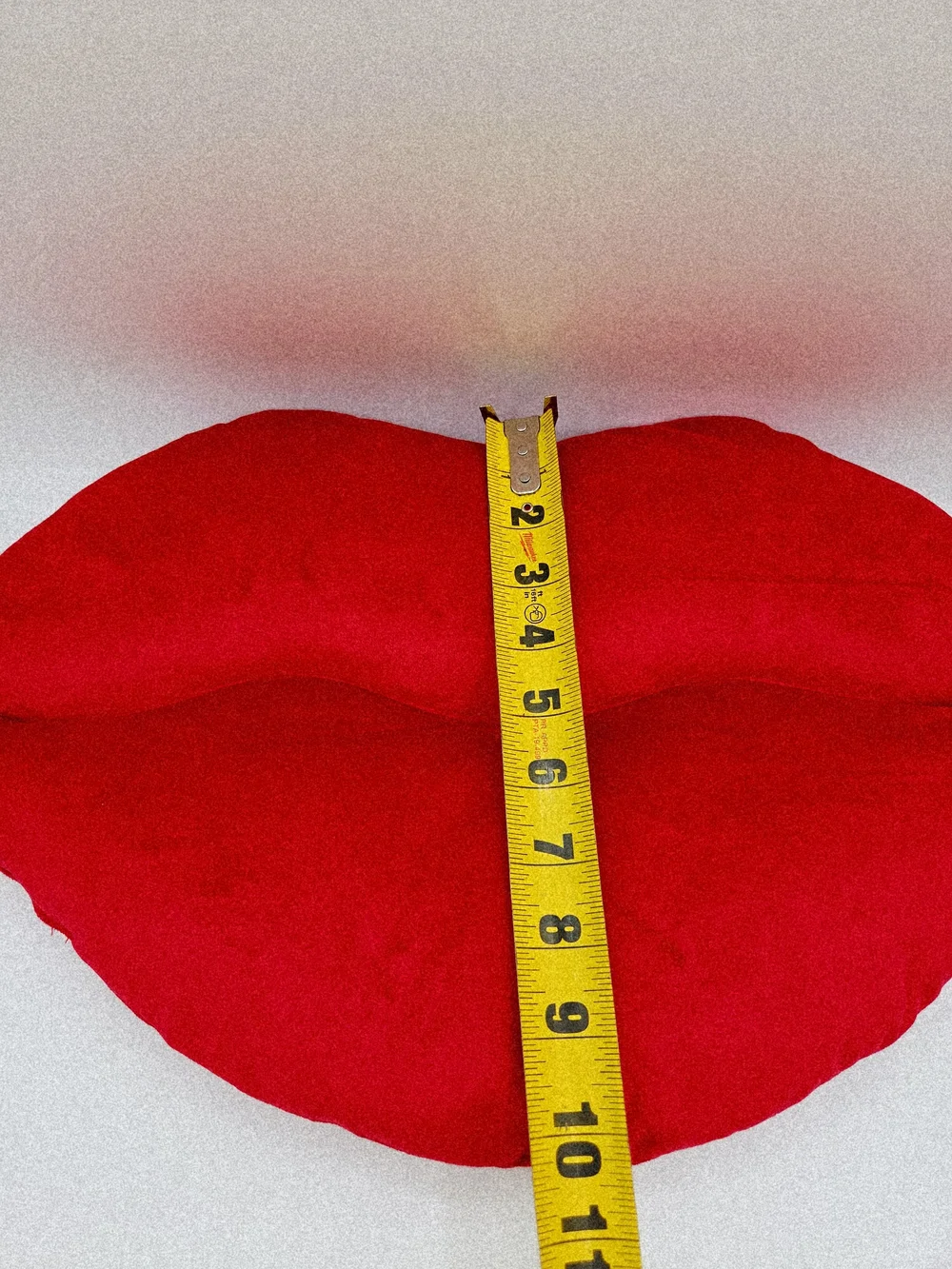 Isaac Mizrahi Bright Red Lip-Shaped Makeup Pillow
